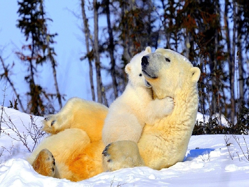 试管颜色分离游戏(人工授精费用是多少)